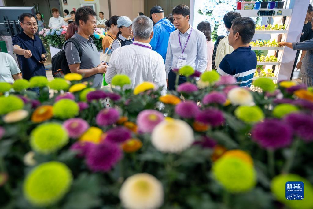 捕鱼游戏代理平台